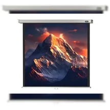 Celexon Rollo Professional 240x240 1:1