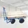 Trutzholm Plattformwagen 500 kg