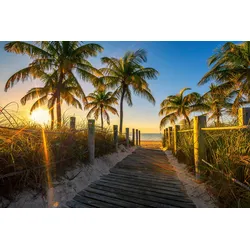 Fototapete PAPERMOON "Strand mit Palmen", bunt, B:5,00m L:2,80m, Vlies, Tapeten
