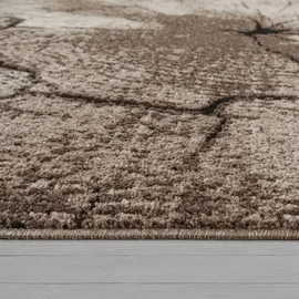 Paco Home Edler Designer Teppich Wohnzimmer Holzstamm Baum Optik Natur Grau Braun Beige 120x170 cm
