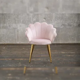 KAWOLA Stuhl Carla Esszimmerstuhl Velvet Fuß Gold