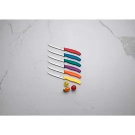Victorinox Swiss Classic Frühstücksmesser Set 6-tlg. 11 cm mehrfarbig