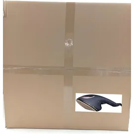 Russell Hobbs Steam Genie 2 In 1