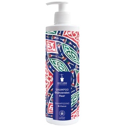 Shampoo Glänzendes Haar 500ml