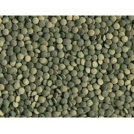 Tetra Pleco Tablets 275 Tabletten