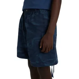 Element Cargoshorts Blau S