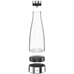 EMSA FLOW Bottle 1 l Edelstahl, Transparent