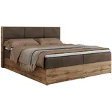 MKS Meble MKS Boxbett, Braun, Velvet... - Bronze