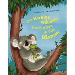 Die Koalas träumen hoch oben in den Bäumen