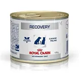 RECOVERY FEL/CAN. 12 x 195 g (Dosen)