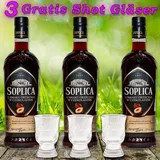 CEDC International Sp. z o. o. Haselnusslikör 25% Vol. 0,5 l Geschenkset