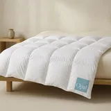 HANSKRUCHEN GmbH HANSKRUCHEN Opal Daunendecke 155x220 cm Leicht 90% Daunen waschbar Allergiker Kassettendecke atmungsaktiv Decke weiss - Weiß