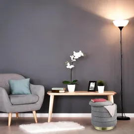 Relaxdays Samthocker mit Stauraum 41 x 43,5 x 41 cm Grau/Gold