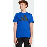 Adidas Unisex Kinder Essentials Big Logo T-Shirt, Royal Blue/Black, 15-16 Years