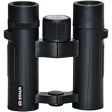 Braun Photo Technik Compagno