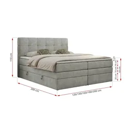 mks möbel Boxspringbett mit Bettkasten ¦ grau ¦ Maße (cm): B: 140 H: 110