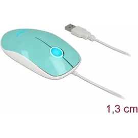 DeLock 12538 Türkis