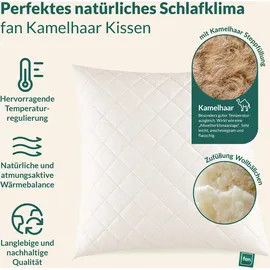 fan Kamelhaar Kopfkissen 40 x 80 cm Beige