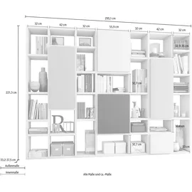 fif Möbel Raumteilerregal »TORO 521«, Breite 295 cm,