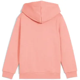 Puma Essentials No. 1 Logo Fleece Hoodie Jungen 18 pink fruit 116