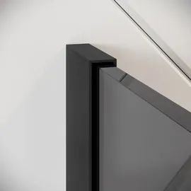 Badplaats Duschwand Rizani 100 x 200cm Glas Duschabtrennung Schwarz - Walk-In Dusche Nano Duschtrennwand