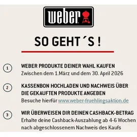 Weber Spirit EP-425 GBS schwarz 1500950
