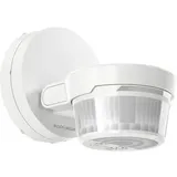 Busch-Jaeger 2CKA006800A3065