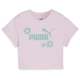 Puma T-Shirt GRAPHICS SUMMER FLOWER TEE G lila 164