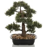 HJH Office Kunstpflanze BONSAI 44 cm