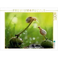 Calvendo Puzzle at Schneckentempo durch das Jahr 1000 Teile