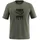 Salewa Eagle 3Cime T-Shirt M Faded Green 2XL