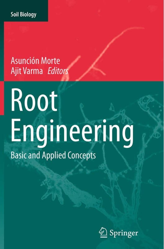 Root Engineering, Kartoniert (TB)