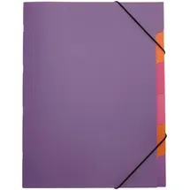 Pagna Ordnungsmappe Funky School 41803-12 A4 5Fächer PP lila