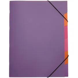 Pagna Ordnungsmappe Funky School 41803-12 A4 5Fächer PP lila