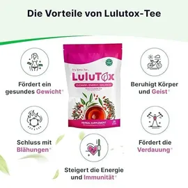 lulutox Detox Tee Ingwer Teebeutel 28 St.