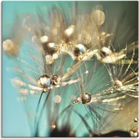 ARTland Artland, Bilder, Pusteblume glänzendes Gold S9LP (40x40 cm)