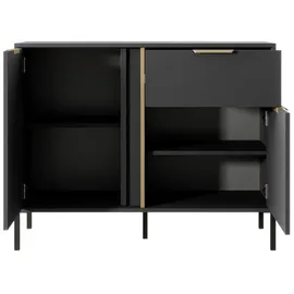 Feldmann-Wohnen Sideboard 103,3 x 81,4 x 39,5 cm Anthrazit / Gold