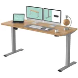 FLEXISPOT Schreibtisch Basic-Series (mit einteiligen Tischplatten), Elektrisch höhenverstellbarer Schreibtisch, 2- Fach-Teleskop grau 160 cm x 80 cm