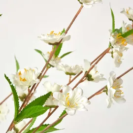 Homescapes Kunstbaum Blüten creme, 155 cm hoch