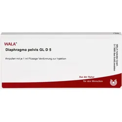 DIAPHRAGMA PELVIS GL D 5 Ampullen 10 ml