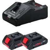 Starter Set Professional inkl. 2 x 18 V Li-Ion 4,0 Ah + Ladegerät 1600A016GB