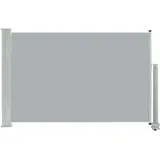 vidaXL Ausziehbare Seitenmarkise 60 x 300 cm grau