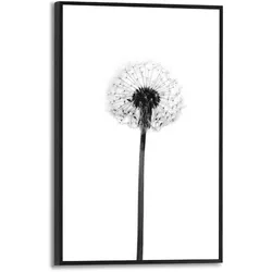 Reinders Wandbild 20 x 30 cm Dandelion Holz Bunt