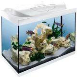 Tetra Aquarium Starter Line LED 80 L weiß