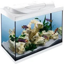 Tetra Aquarium Starter Line LED 80 L weiß