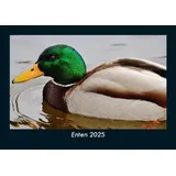 Vero Kalender Enten Fotokalender 2025 DIN A5