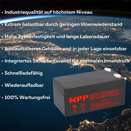 NPP NP12 12V 3200 mAh 5 St.