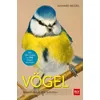 Vögel