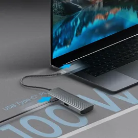 Icy Box IB-DK4022a-CPD USB Type-C Dockingstation