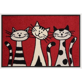 Wash+Dry Fußmatte »Three Cats«, rechteckig, rot
